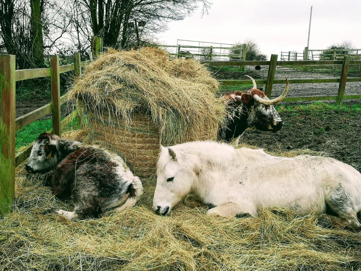 Brampton Dales Farm Bed & Breakfast Gainsborough Exterior photo